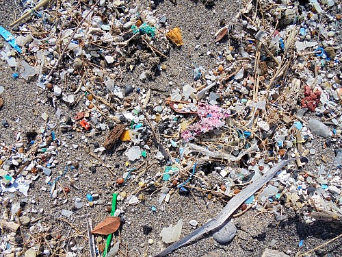 

Coastline - Beach, Pollution/Litter/Relics, Public area/Beach
